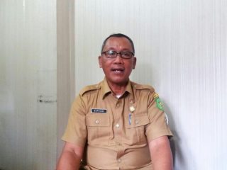 Kabid Taman dan Peneramgan Dinas Kebersihan dan Pertamanan Kota Medan, Supriadi.