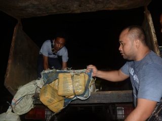 Barang bukti berupa 250 kg ganja yang telah diamankan Polres Padangsidimpuan.