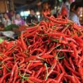 Cabai Merah Melonjak Dekati Rp50.000 per Kg.