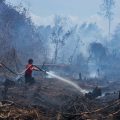 Kebakaran hutan yang mengakibatkan kerusakan alam.