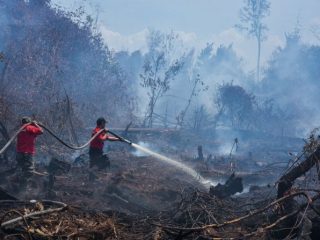Kebakaran hutan yang mengakibatkan kerusakan alam.
