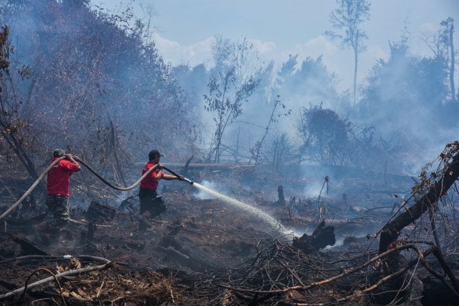 Kebakaran hutan yang mengakibatkan kerusakan alam.