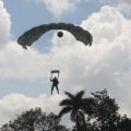 Sebanyak 21 Prajurit TNI AU terjun payung freefall dalam acara Soewondo Air Force Base Open Day 2020  dalam rangka HUT TNI AU ke 74 yang dilaksanakan di Pangkalan Udara Soewondo,Medan.