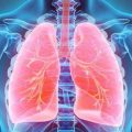 Begini Tujuh Cara Membersihkan Paru-paru