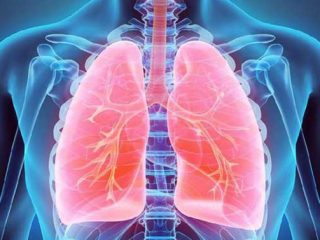 Begini Tujuh Cara Membersihkan Paru-paru