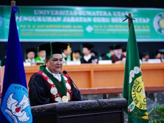 Telestroke versi Prof Aldy S Rambe, Solusi Pelayanan Stroke di Era 4.0