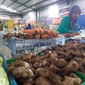 Tembus Rp60 Ribu Sekilo, Jahe Merah Tetap Dicari