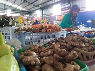 Tembus Rp60 Ribu Sekilo, Jahe Merah Tetap Dicari