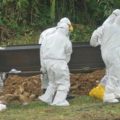 Hari Ini, 4 Orang Terindikasi Virus Corona Meninggal