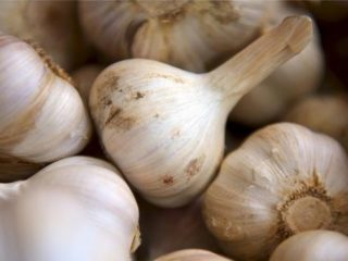 Bawang Putih Sumbang Inflasi Akibat Virus Corona dari China