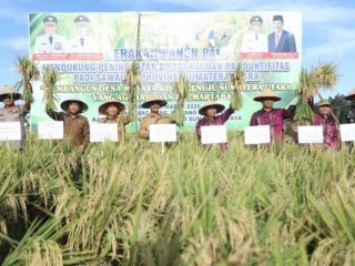 Kegiatan Panen Raya di Kecamatan Rawang Panca Arga, Senin (16/3/2020).