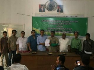 PT. Limas Agro Nusantara dan Kelompok Tani Berkat Usaha Desa PIR ADB Besitang menjalin kemitraan usaha tanam jagung di lahan kemitraan konservasi.