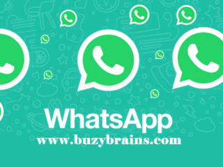 Mau Rapat Virtual? Ini Cara Video Call 8 Orang di WhatsApp