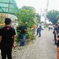 Kejamnya Acai, Jasad Elvina Dimasuk dalam Kardus Bekas TV