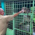 Plt Walikota Medan, Akhyar Nasution di area Medan Zoo, Kecamatan Medan Tuntungan, Selasa (19'5/2020).