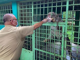 Plt Walikota Medan, Akhyar Nasution di area Medan Zoo, Kecamatan Medan Tuntungan, Selasa (19'5/2020).