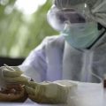 Seluruh Pasien Covid-19 di Banda Aceh Sembuh