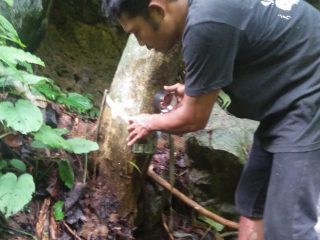 Balai Besar Konservasi Sumber Daya Alam (BBKSDA) Sumatera Utara memastikan jika Harimau sumatera yang memangsa hewan ternak warga di dua lokasi Kab Langkat, awal Mei lalu.