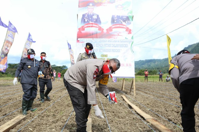 Polda Sumut tabur 450 kg bibit jagung di Desa Garoga, Kec Simanindo, Kab Samosir, Kamis (4/6/2020).