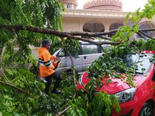 Hujan Deras Tumbangkan Pohon, Timpa 2 Mobil