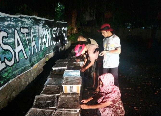 2.300 ekor burung Ciblek atau Perenjak Jawa dan Gelatik Batu dilepaskan oleh BBKSDA Sumut di area Taman Wisata Alam (TWA) Sibolangit.