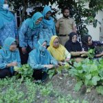 Ketua TP PKK Kabupaten Asahan, Titiek Sugiarti Surya berserta para Ibu-ibu kelompok tani melakukan pemanfaatan pekarangan rumah media menanam sayuran.