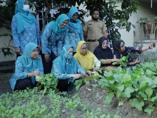 Ketua TP PKK Kabupaten Asahan, Titiek Sugiarti Surya berserta para Ibu-ibu kelompok tani melakukan pemanfaatan pekarangan rumah media menanam sayuran.