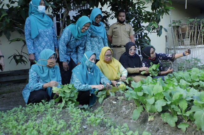 Ketua TP PKK Kabupaten Asahan, Titiek Sugiarti Surya berserta para Ibu-ibu kelompok tani melakukan pemanfaatan pekarangan rumah media menanam sayuran.