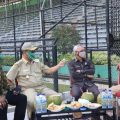 Plt Walikota Medan, Akhyar Nasution meninjau Stadion Teladan, Selasa (25/8/2020).