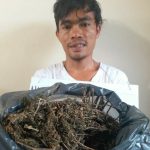 Miliki Ganja 1 Kilogram, Seorang Petani di Batangtoru Ditangkap