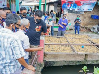 Calon Wali Kota Medan, Muhammad Bobby Afif Nasution saat melihat parit busuk di Mandala.