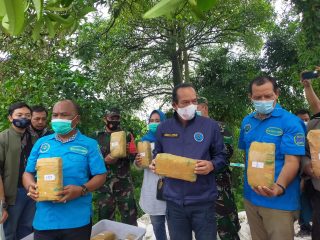 BNN saat Amankan ganja seberat 141 kilogram.