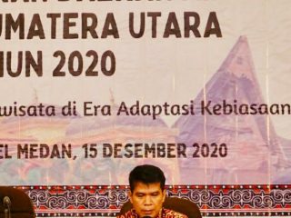 Armin Nasution
