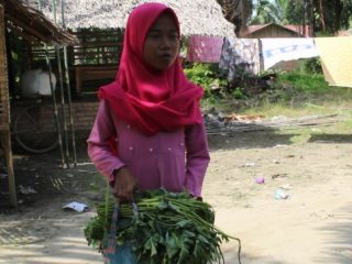 Anggi Aulia, bocah penjual kangkung di Langkat. Laznas Rumah Yatim menyalurkan bantuan untuknya.(ist)
