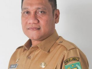 Kadisnaker Langkat, Raja Nami.(ist)