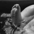 pelaku berinisial AS diketahui membeli bayi tersebut sebesar Rp5 juta dari ibu kandungnya. 