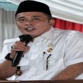 Wakil Walikota Medan, Aulia Rachman