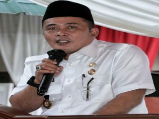 Wakil Walikota Medan, Aulia Rachman
