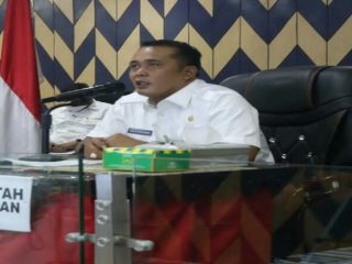 Wakil Walikota Medan, Aulia Rachman