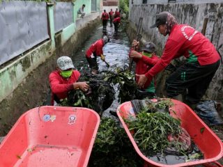 Wakil Walikota Medan, Aulia Rachman mengakui, pembersihan parit sulang saling cukup memberatkan para petugas.