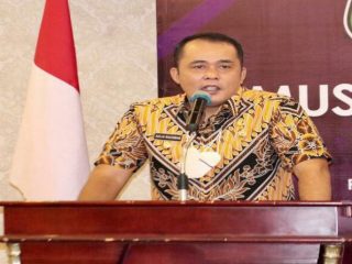 Wakil Walikota Medan, Aulia Rachman