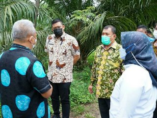 Walikota Medan, Muhammad Bobby Nasution bersama Bupati Deliserdang, Azhari Tambunan serta perwakilan pemerintah pusat meninjau lahan milik PTPN untuk dijadikan Tempat Pembuangan Akhir. Rencananya TPA itu akan dioperasikan 2022 mendatang