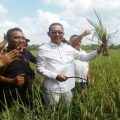 Ketua HKTI Sumut H Gus Irawan Pasaribu