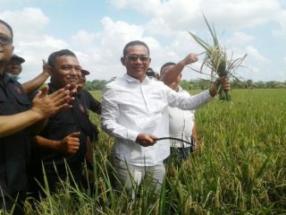 Ketua HKTI Sumut H Gus Irawan Pasaribu