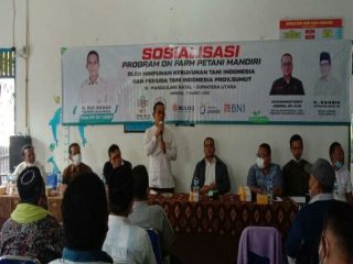 Ketua HKTI Sumut H.Gus Irawan Pasaribu