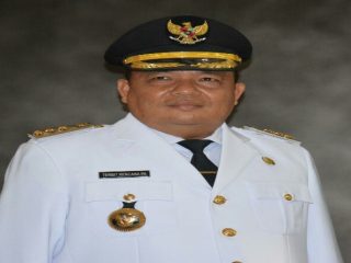 Bupati Langkat, Terbit Rencana PA
