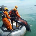 Pencarian hari ketiga terhadap Safri (24), anak buah kapal (ABK) yang lompat dari kapal akhirnya membuahkan hasil. Ia ditemukan ke arah 7 mil laut dari bibir Pantai Labu, Kamis (6/5/2021) sekita pukul 10.49 WIB.