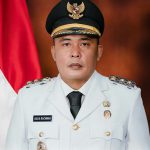 Wakil Walikota Medan, Aulia Rachman