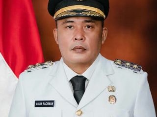 Wakil Walikota Medan, Aulia Rachman