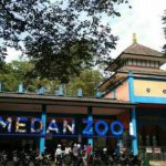 Kebun Binatang Medan atau Medan Zoo yang terletak di Jalan Bunga Rampe IV, Kelurahan Simalingkar B, Kecamatan Medan Tuntungan akhirnya mulai dibuka sejak, Jumat (25/6/2021)